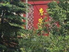 -唐乐宫·歌舞剧院餐厅