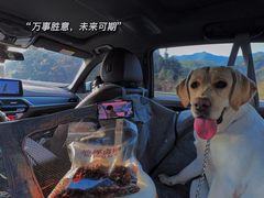 -朗妈私房菜(婺女州店)