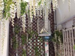 燕庭燕窝下午茶(南京西路店)-燕庭·纯燕窝·甜品下午茶(南京西路店)
