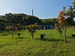 -嘉北郊野公园