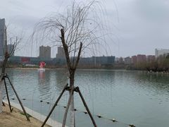 -天鹅湖体育公园