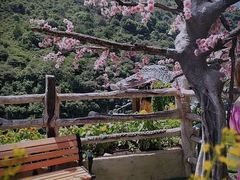 -西游洞风景区