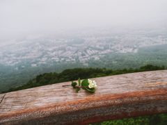 -紫金山天文台