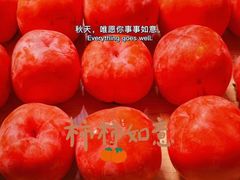 -茶百道(沭阳蓝天店)