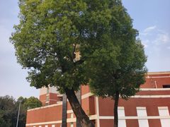 -四川大学(望江校区)