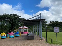 -济州森林小火车生态公园