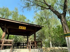 -大兴滨河森林公园