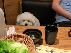 -千寻烧肉(政务区店)