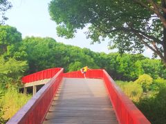 -美兰湖景区