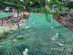 -鲁山国家森林公园