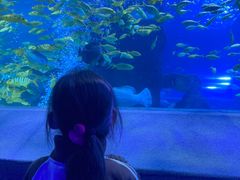 -太平洋海底世界