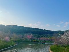 -苏州上方山国家森林公园