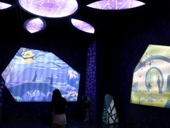 -芜湖黄河国际旅行社