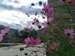 -稻城亚丁风景区-电瓶观光车售票处