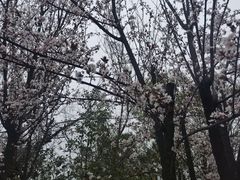 -艾溪湖湿地公园