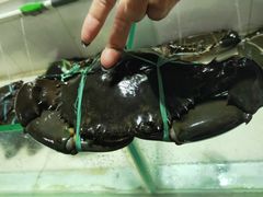 -海盗餐厅