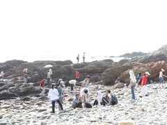 -西涌国际滨海旅游区