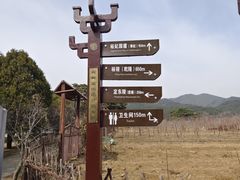 -清东陵