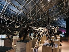 -世界恐龙谷景区