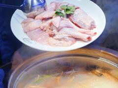 吃稻谷文昌鸡-千岛蚝高压锅生蚝·人参火锅(白云万达店)