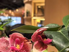 -半秋山西餐厅(销品茂店)