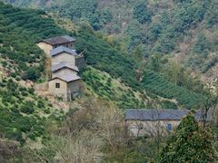 -东白山