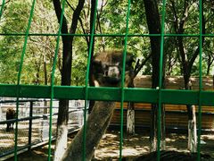 -长白岛森林公园