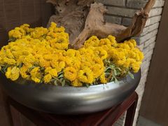 -晶采轩(虹桥路店)