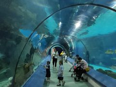 -福州罗源湾海洋世界旅游区