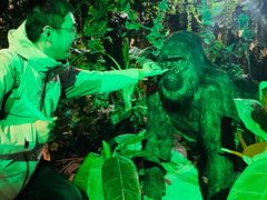 -东方山水乐园山之王国(全室内)