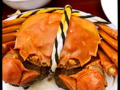 -小陆莲花蟹园农家乐(莲花岛店)