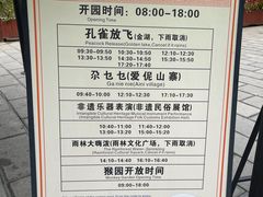 -西双版纳原始森林公园