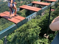 -梦幻奥陶纪景区