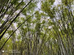 -晓港公园