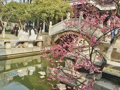 -红梅公园