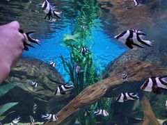 -水上乐园·欢乐世界