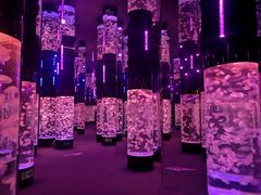 -成都浩海立方海洋公园