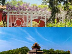 -故宫博物院(故宫)