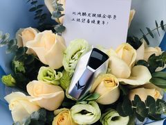 -北汽鹏龙ARCFOX极狐(国贸店)
