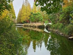 -东平国家森林公园