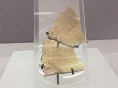 -北京大学赛克勒考古与艺术博物馆