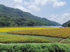 -广州市石门国家森林公园