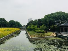 -蠡湖大桥公园
