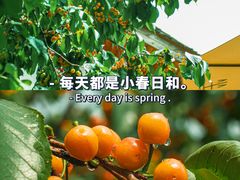 -云里小坐·小院里·团建·宴请·下午茶(三圣乡店)
