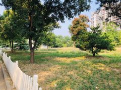 -回龙观体育文化公园