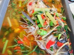 活渡花鲢-蜀江春(科华北路店)