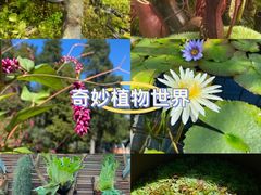 -国家植物园南园