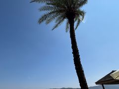 -昆明柏联SPA温泉