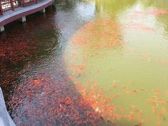 -西海子公园