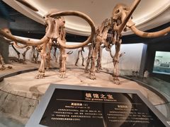 -大庆市博物馆